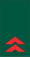 Primeiro-sargento (Mozambican Army)