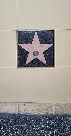 Muhammad Ali's star, a live performance emblem below his name, on a single black terrazo slab with a metal border, the border surrounded by tan wall slabs, with a row of tile fillet where the wall meets the black terrazo slab-covered floor