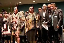 endorses Declaration on the Rights of Indigenous People, 2010