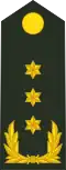 Luitenant-generaal[37] (Royal Netherlands Army)