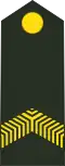 Korporaal (Royal Netherlands Army)[60]