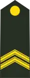 Sergeant-majoor (Royal Netherlands Army)[42]