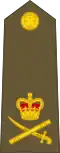 Lieutenant-general[39] (New Zealand Army)