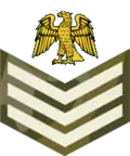 Staff sergeant (Nigerian Army)[43]