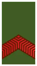 Soldaat der 1e klasse (Suriname Army)