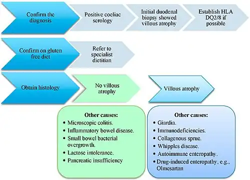 Visual graphic showing the steps taken to diagnose non-responsive coeliac disease