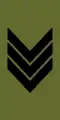 Sersjant (Norwegian Army)[92]