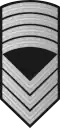 Sersjantmajor (Norwegian Army)[43]