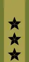 Generalløytnant[40] (Norwegian Army)