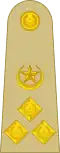 Brigadier (Urdu: بریگیڈیئر) (Pakistan Army)[24]
