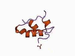 1b2b: PH AFFECTS GLU B13 SWITCHING AND SULFATE BINDING IN CUBIC INSULIN CRYSTALS (PH 6.16 COORDINATES)