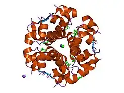 1ev6: Structure of the monoclinic form of the M-cresol/insulin R6 hexamer