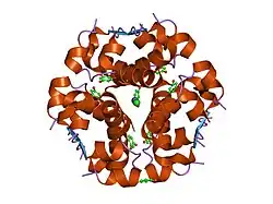 1evr: The structure of the resorcinol/insulin R6 hexamer