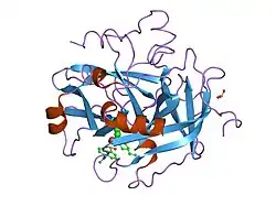 1fpc: ACTIVE SITE MIMETIC INHIBITION OF THROMBIN