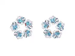 1gnh: HUMAN C-REACTIVE PROTEIN