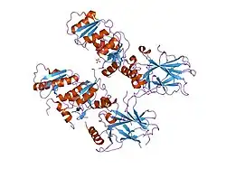 1gzh: CRYSTAL STRUCTURE OF THE BRCT DOMAINS OF HUMAN 53BP1 BOUND TO THE P53 TUMOR SUPPRESSOR