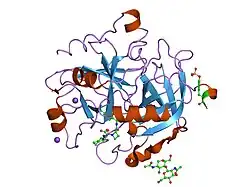 1k22: HUMAN THROMBIN-INHIBITOR COMPLEX