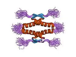 1olh: HIGH-RESOLUTION SOLUTION STRUCTURE OF THE OLIGOMERIZATION DOMAIN OF P53 BY MULTI-DIMENSIONAL NMR
