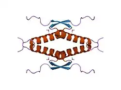 1sal: HIGH RESOLUTION SOLUTION NMR STRUCTURE OF THE OLIGOMERIZATION DOMAIN OF P53 BY MULTI-DIMENSIONAL NMR (SAD STRUCTURES)