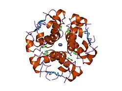 1wav: CRYSTAL STRUCTURE OF FORM B MONOCLINIC CRYSTAL OF INSULIN
