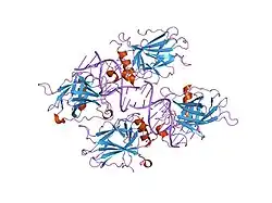 2ata: Structural Basis of DNA Recognition by p53 Tetramers (complex II)