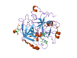 2bxt: DESIGN AND DISCOVERY OF NOVEL, POTENT THROMBIN INHIBITORS WITH A SOLUBILIZING CATIONIC P1-P2-LINKER
