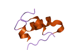 2c8q: INSULINE(1SEC) AND UV LASER EXCITED FLUORESCENCE