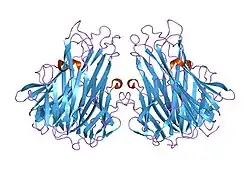 2tun: CONFORMATIONAL CHANGES IN THE (ALA-84-VAL) MUTANT OF TUMOR NECROSIS FACTOR