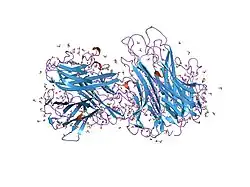 5tsw: HIGH RESOLUTION CRYSTAL STRUCTURE OF A HUMAN TNF-ALPHA MUTANT