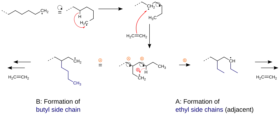 Mechanism for the emergence of side chains during synthesis of polyethylene (PE-LD).