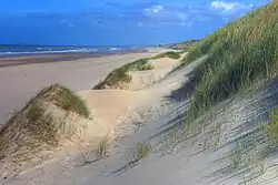 A photo of seaside dunes