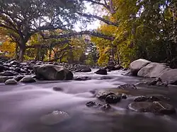 Pasonanca Natural Park, an ASEAN Heritage Park