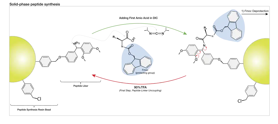 Table of amino acids