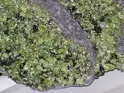 Light green olivine crystals in peridotite xenoliths in basalt from Arizona