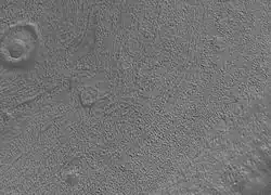 Close up image of Phaethontis surface taken by Mars Global Surveyor, under MOC Public Targeting Program. Pits are thought to be caused by buried ice turning into a gas.