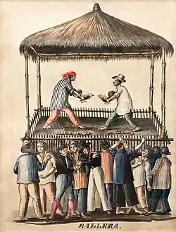 Filipinos cock fighting 19th century