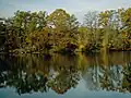 Trees with red, orange, and yellow leaves reflected in a lake