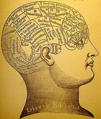 Phrenological diagram of the human head from the side. Different areas are marked for distinct brain functions.
