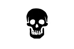 Another flag of Olivier Levesseur, described as a "Death’s head in black in ye middle of a white ensign."[45]