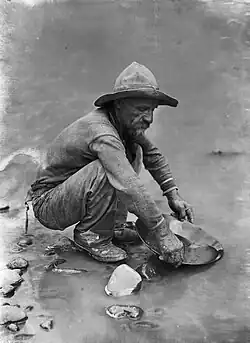 Forty-niner panning for gold