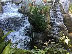An example of one of the thousands of plants taken care of at the San Diego Zoo