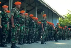 Indonesian Air Force Korpasgat members with the DPM pattern