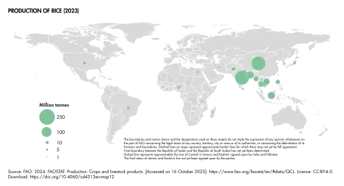 Production of rice[44]