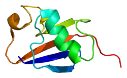 A ribbon diagram of the protein parkin