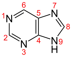 Skeletal formula with numbering convention