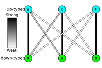 Three balls "u", "c", and "t" noted "up-type quarks" stand above three balls "d", "s", "b" noted "down-type quark". The "u", "c", and "t" balls are vertically aligned with the "d", "s", and b" balls respectively. Colored lines connect the "up-type" and "down-type" quarks, with the darkness of the color indicating the strength of the weak interaction between the two; The lines "d" to "u", "c" to "s", and "t" to "b" are dark; The lines "c" to "d" and "s" to "u" are grayish; and the lines "b" to "u", "b" to "c", "t" to "d", and "t" to "s" are almost white.