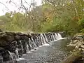 Several streams of water fall over a dam made of large rocks under autumn leaves