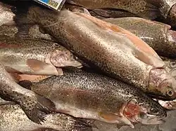 Photo of cleaned and iced rainbow trout in fish market