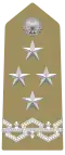 Generale (Italian Army)[19]
