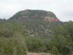 A large mound of rock and dirt with reddish and grayish soil and mostly covered with vegetation.
